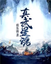 真武星魂真武星魂